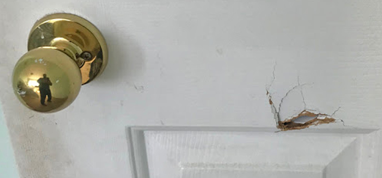 interior door hole repair Lemon Grove