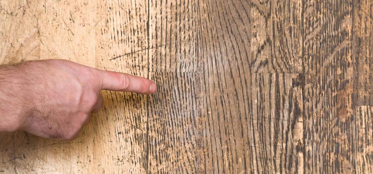 Wood Door Scratch Repair in Lemon Grove